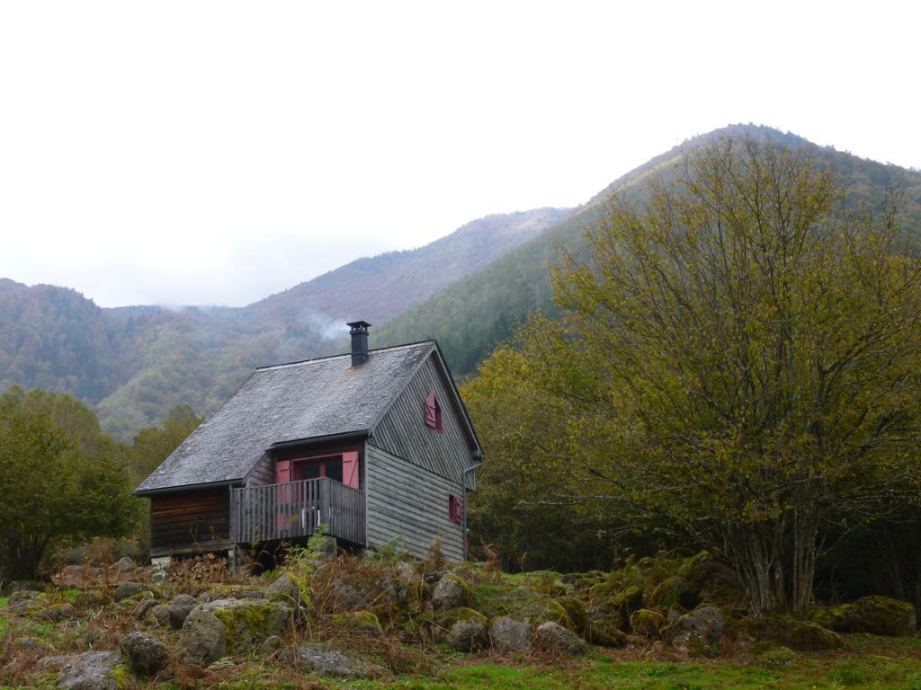 Les Chalets De La Foret D'Issaux Osse-en-Aspe Екстер'єр фото