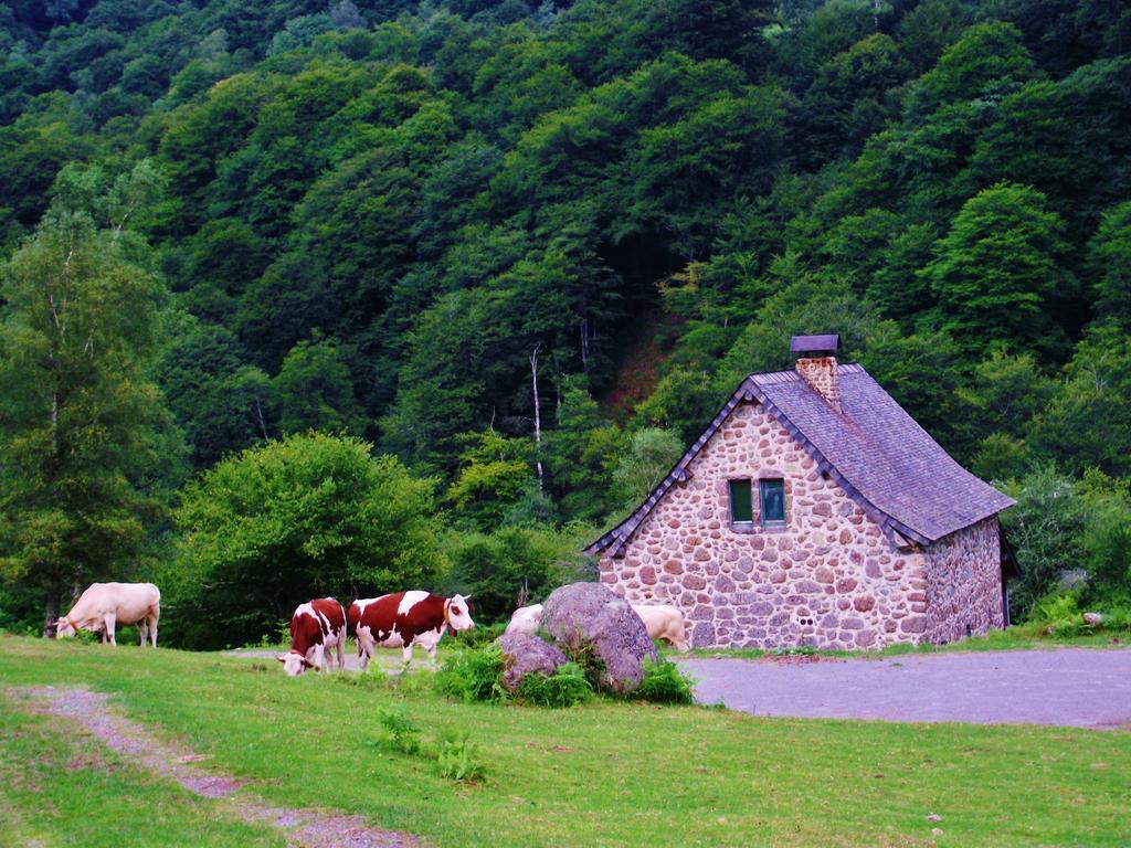 Les Chalets De La Foret D'Issaux Osse-en-Aspe Екстер'єр фото